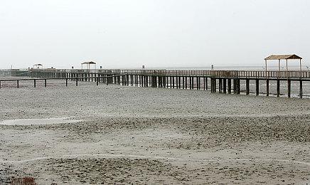 欢脱小甜饼恋爱AVG《香恋Ready！》今日正式上线steam商店页面！